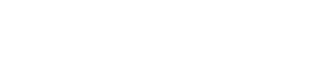 ing project